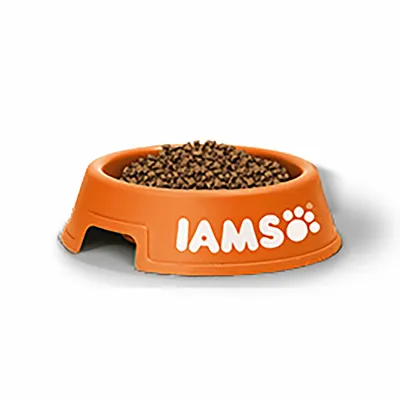 Gamelle orange en plastique remplie de croquettes, marque IAMS visible sur le devant du bol.