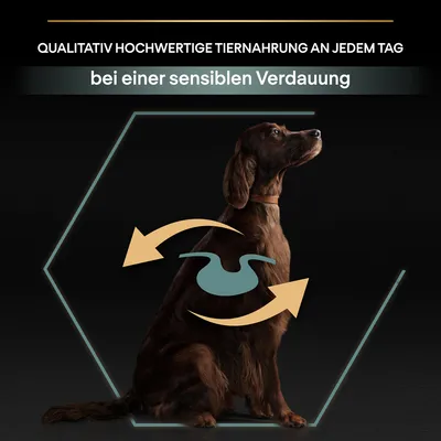 Qualitativ hochwertige Tiernahrung an jedem Tag, geeignet bei einer sensiblen Verdauung. Darstellung mit Hund und Verdauungssymbol.