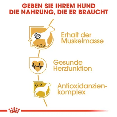 Geben Sie Ihrem Hund die Nahrung, die er braucht: Erhalt der Muskelmasse, gesunde Herzfunktion, Antioxidanzien-Komplex.