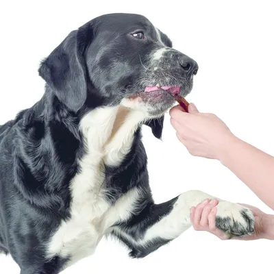 Snack HUNTER Real Sticks 80 g