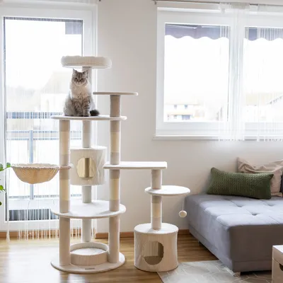 Kerbl Pet Arbre à chat Annika, beige