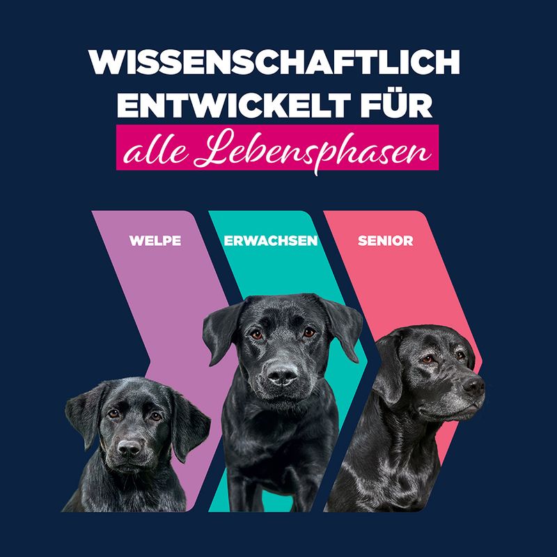 Eukanuba Puppy Reich an Rind mit Kürbis