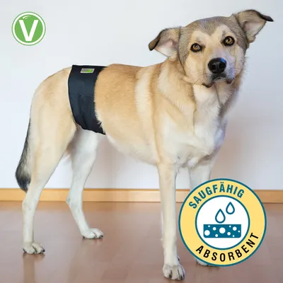 Vetlando couche lavable pour chiens mâles