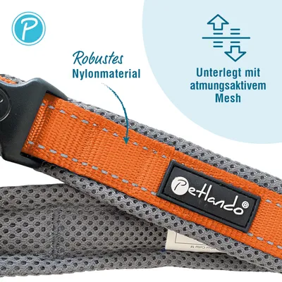 Petlando Outdoor Halsband, orange