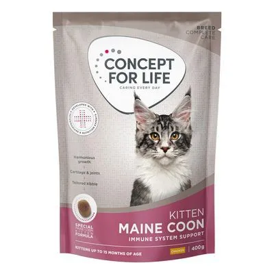 Concept for Life Maine Coon Kitten