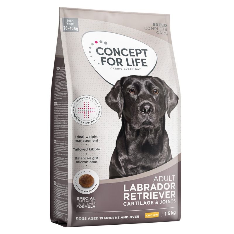Concept for Life Labrador Retriever Adult : cumpără ieftin