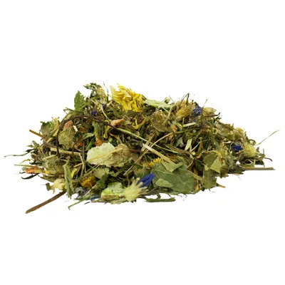 JR Farm Plastic Free without Pellets Guinea Pig Food