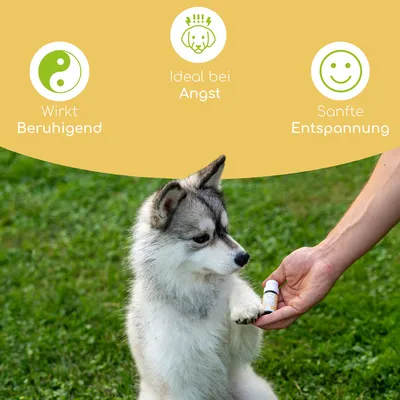 Wolfsbacher Natur Bachblüten