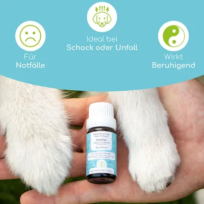 Wolfsbacher Natur Bachblüten