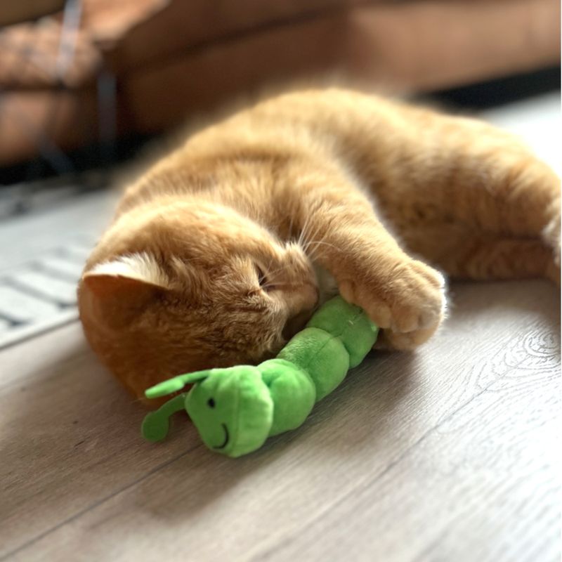 Aumüller Coussin de jeu pour chat Chenille Pedro