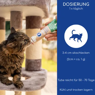 Wolfsbacher Natur Magen-Darm Paste