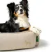 HUNTER Recycling Hundesofa Belluno