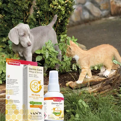 beaphar Derma Care Spray pour chien