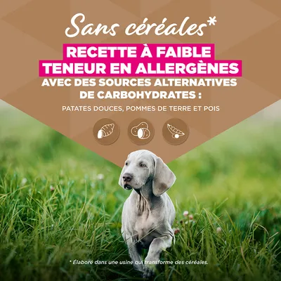 Eukanuba Grain Free Puppy Large & Giant Breed Poisson de mer