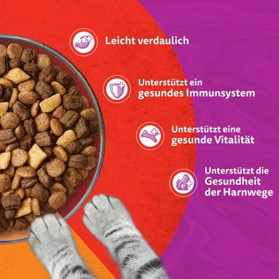 Whiskas 1+ Duo Classic Combos Lamm & Truthahn