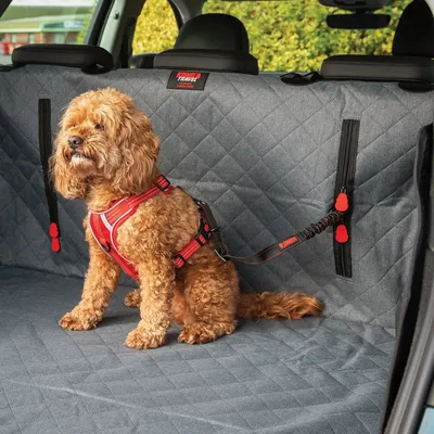 KONG Schwenkbarer Haltegurt