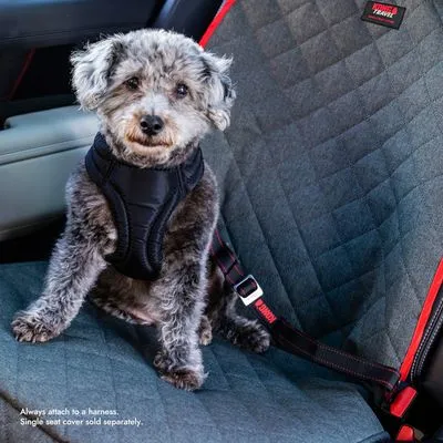 KONG Cintura di sicurezza