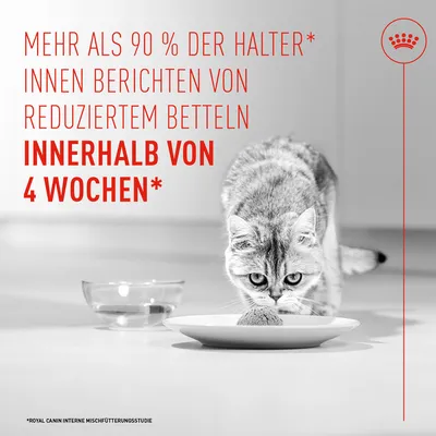 Royal Canin Appetite Control Care AirLift Mousse