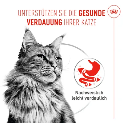 Royal Canin Digestive Care AirLift Mousse