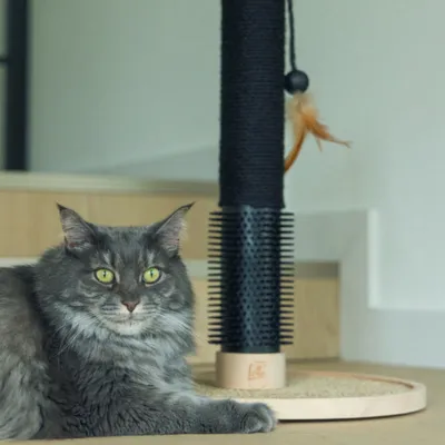 Designed by Lotte griffoir en bois Fida