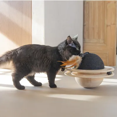 Designed by Lotte Balle en bois pour chat Baya Designed by Lotte Balle en bois pour chat Baya