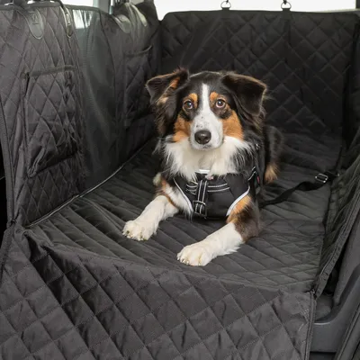 Trixie Couverture de protection pour voiture