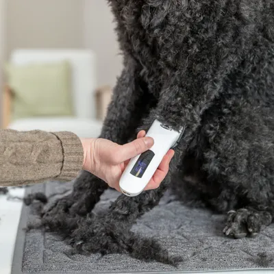 Trixie TR1600 akkumulátoros nyírógép szett 