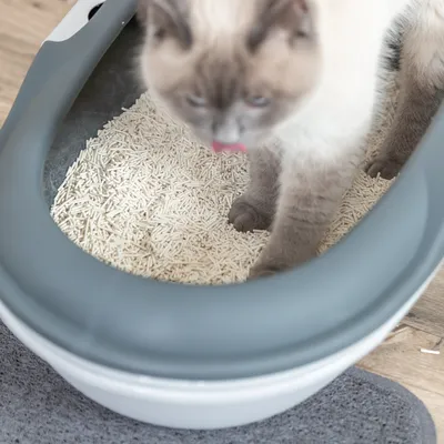 Trixie Tofu csomósodó alom