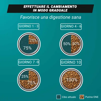 Cambio dell'alimento in 10 giorni: Giorni 1-3, 25% nuovo alimento; Giorni 4-6, 50%; Giorni 7-9, 75%; Giorno 10, 100%. Favorisce una digestione sana. Purina ONE e l'alimento attuale sono contrassegnati a colori. Cambio dell'alimento in 10 giorni: Giorni 1-3, 25% nuovo alimento; Giorni 4-6, 50%; Giorni 7-9, 75%; Giorno 10, 100%. Favorisce una digestione sana. Purina ONE e l'alimento attuale sono contrassegnati a colori.