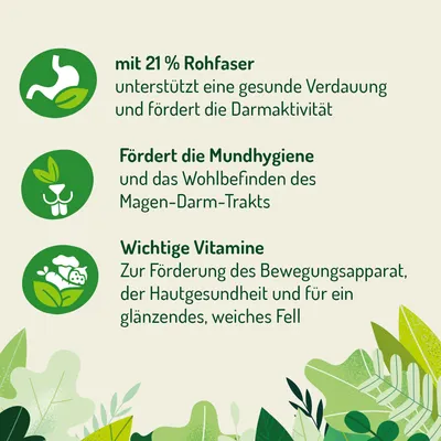 Gimbi Mother Nature Rabbit