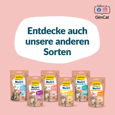 GimCat Nutri Biotin Bouchées au saumon GimCat Nutri Biotin Bouchées au saumon