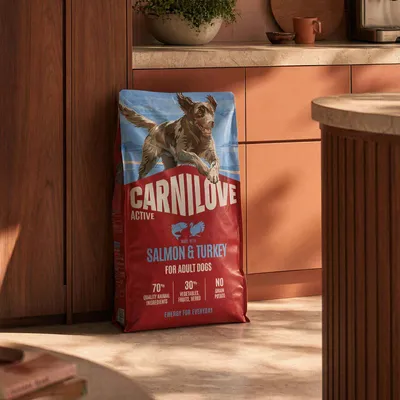 Carnilove Active Saumon & Dinde pour chiens adultes, 70 % d'ingrédients d'origine animale, 30 % de légumes, fruits, herbes, sans céréales ni pommes de terre, Energy for Everyday. Carnilove Active Saumon & Dinde pour chiens adultes, 70 % d'ingrédients d'origine animale, 30 % de légumes, fruits, herbes, sans céréales ni pommes de terre, Energy for Everyday.