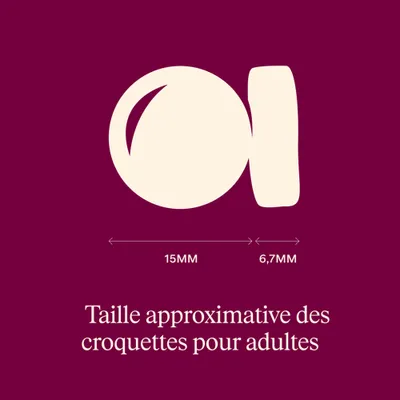 Carnilove True Fresh Adulte Poisson et dinde