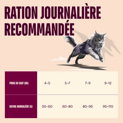 Carnilove True Fresh Large Adult Cat Bœuf