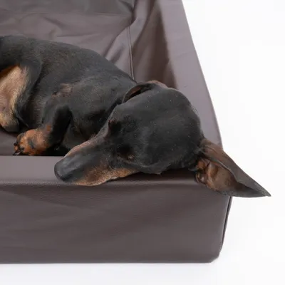 Modern Living Hundebett Tabac