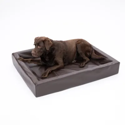 Modern Living Hundebett Tabac