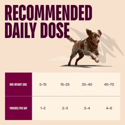 Carnilove Dog în Pate Plicuri 4 x 300 g