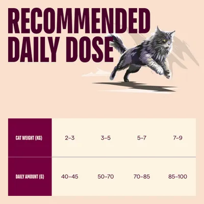 Carnilove Active Salmon & Turkey for Adult Cats