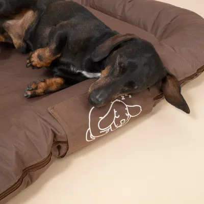 Hund liegt schlafend auf braunem Hundebett mit weißer Zeichnung eines schlafenden Hundes und Reißverschluss an der Seite. Hund liegt schlafend auf braunem Hundebett mit weißer Zeichnung eines schlafenden Hundes und Reißverschluss an der Seite.