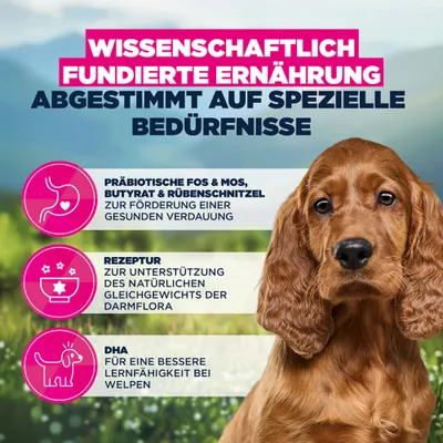 Eukanuba Special Care Sensitive Digestion Puppy mit Huhn & Pute