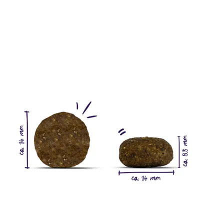 Zwei runde Kroketten, Durchmesser ca. 14 mm, Höhe ca. 8,5 mm, Maße sind neben den Kroketten abgebildet. Zwei runde Kroketten, Durchmesser ca. 14 mm, Höhe ca. 8,5 mm, Maße sind neben den Kroketten abgebildet.