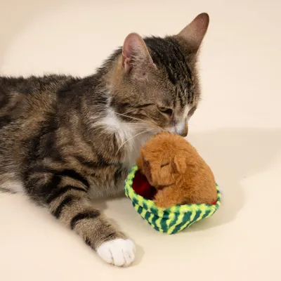 TIAKI Katzenspielzeug Chillendes Capibara TIAKI Katzenspielzeug Chillendes Capibara