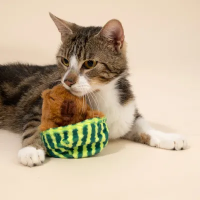 TIAKI Katzenspielzeug Chillendes Capibara TIAKI Katzenspielzeug Chillendes Capibara