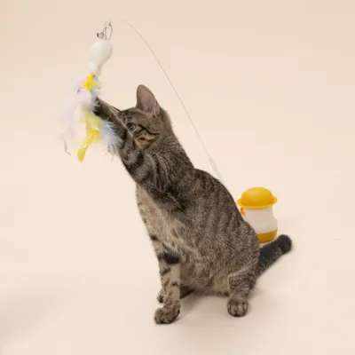 Caña de mesa Tiaki Pato con catnip juguete para gatos - 1 unidad Caña de mesa Tiaki Pato con catnip juguete para gatos - 1 unidad