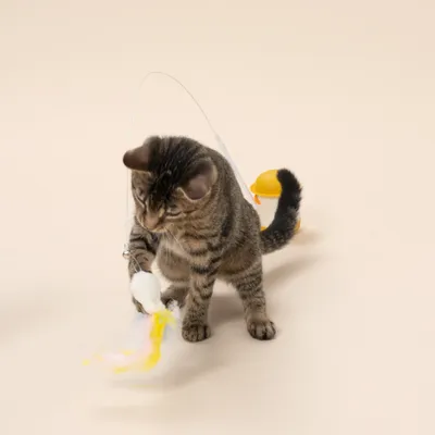 Caña de mesa Tiaki Pato con catnip juguete para gatos - 1 unidad Caña de mesa Tiaki Pato con catnip juguete para gatos - 1 unidad