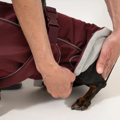 Nomad Tales Spirit Softshell-Hundemantel, burgunderrot Nomad Tales Spirit Softshell-Hundemantel, burgunderrot
