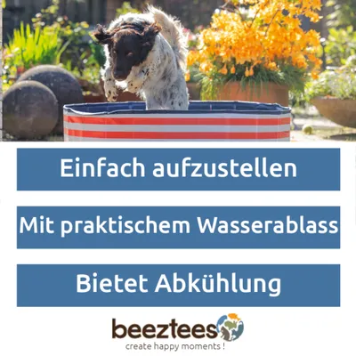 Beeztees Hundepool Doggy Dip, rot/weiß
