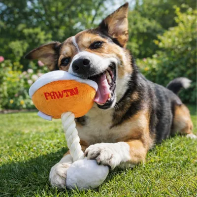 Beeztees Hundespielzeug Pawtini, orange/weiss