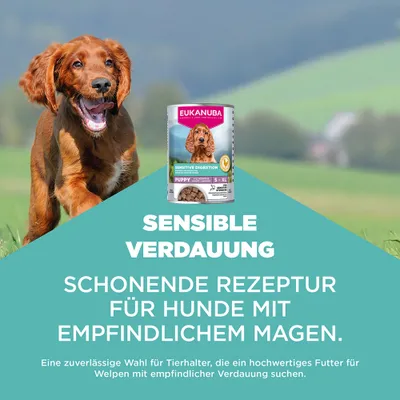 Eukanuba Special Care Puppy Sensitive Digestion