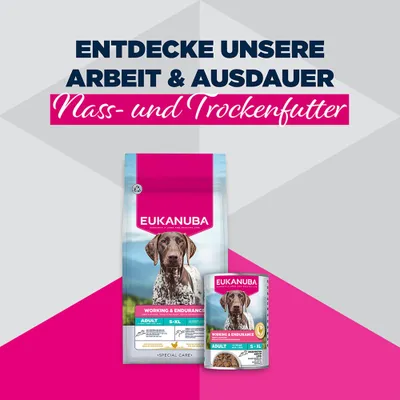 Eukanuba Special Care Adult Working & Endurance Eukanuba Special Care Adult Working & Endurance